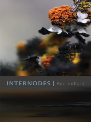 cover image of Internodes